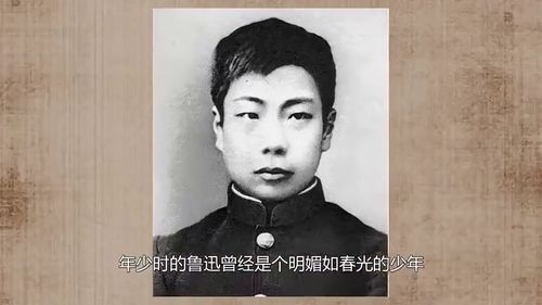 鲁迅儿媳马新云去世 享年94岁